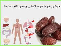 خواص خرما: از بهبود گوارش تا تقویت سیستم ایمنی